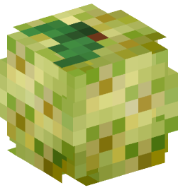 Minecraft head — Plants