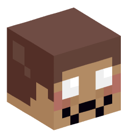 Minecraft head — Miscellaneous