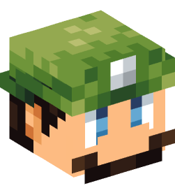 Minecraft head — People