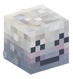 Minecraft head — Miscellaneous