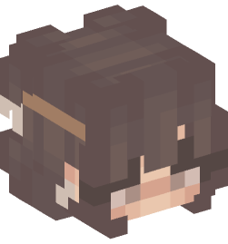 Minecraft head — People