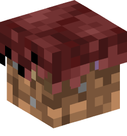 Minecraft head — Blocks