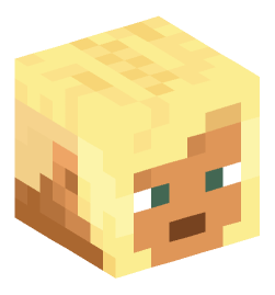 Minecraft head — People