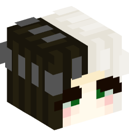 Minecraft head — People