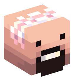 Minecraft head — People