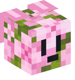 Minecraft head — Animals