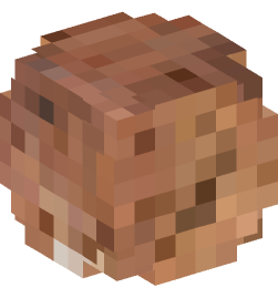 Minecraft head — Decor