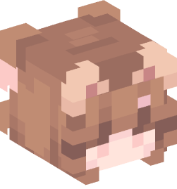 Minecraft head — People