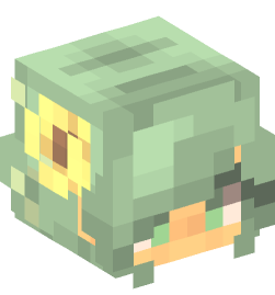 Minecraft head — People