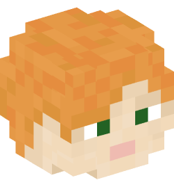 Minecraft head — People