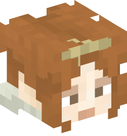 Minecraft head — People