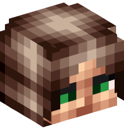 Minecraft head — People