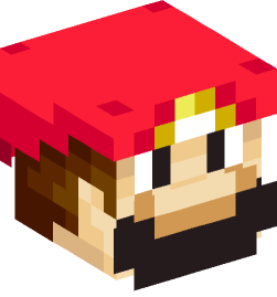 Minecraft head — People