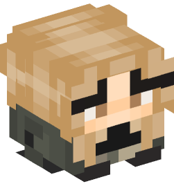 Minecraft head — Decor