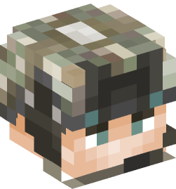 Minecraft head — People