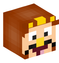 Minecraft head — People