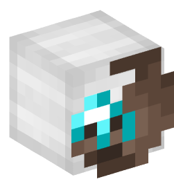 Minecraft head — Miscellaneous