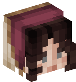 Minecraft head — People