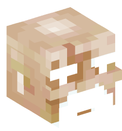 Minecraft head — Creatures