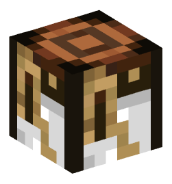 Minecraft head — Decor