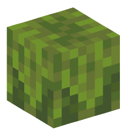 Minecraft head — Plants