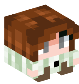 Minecraft head — Decor