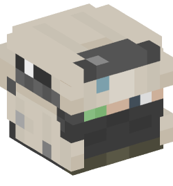 Minecraft head — People