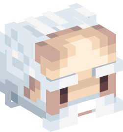 Minecraft head — People