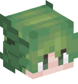 Minecraft head — People