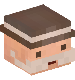 Minecraft head — People