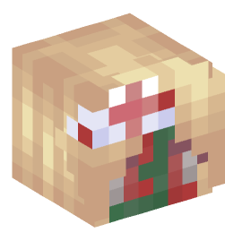 Minecraft head — Creatures