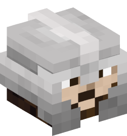 Minecraft head — People