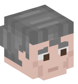 Minecraft head — People