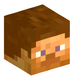 Minecraft head — People