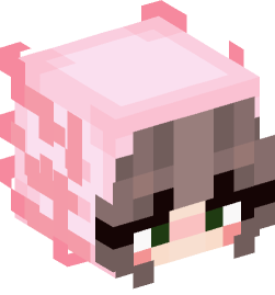 Minecraft head — People