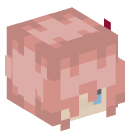 Minecraft head — People