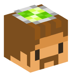 Minecraft head — Creatures