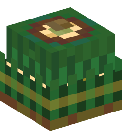 Minecraft head — Decor