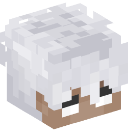 Minecraft head — People