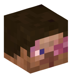 Minecraft head — People