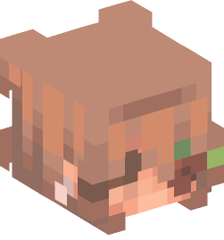 Minecraft head — People