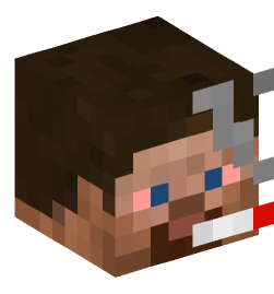 Minecraft head — People