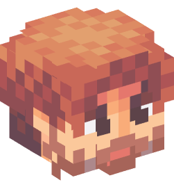 Minecraft head — People