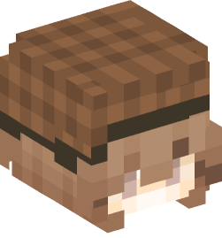 Minecraft head — People