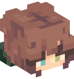 Minecraft head — People