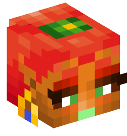 Minecraft head — People