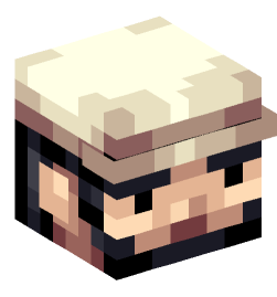 Minecraft head — People