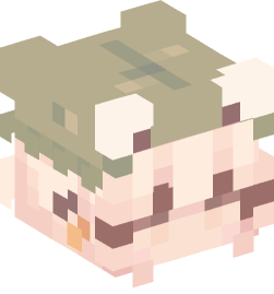 Minecraft head — People