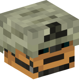 Minecraft head — People