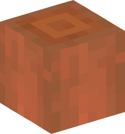 Minecraft head — Blocks